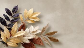 Whimsical display of colorful dry leaves nature studio still life minimalist close-up organic aesthetics photo