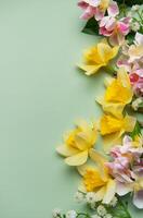 Daffodils and pink flowers creating a vibrant spring border on pastel green background photo