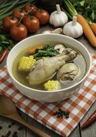 Invigorating chicken broth enriched with vegetables on a checkered fabric photo