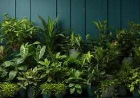 Lush display of diverse potted plants against a serene teal vertical paneling backdrop photo