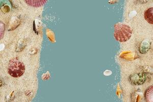 beach with seashells decoration for copy space photo