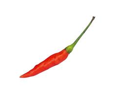 small red chili isolated element photo