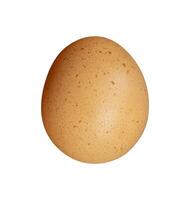 whole chicken egg isolated element photo