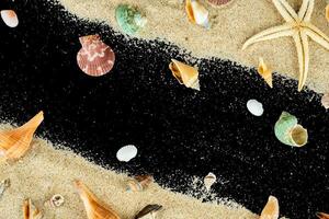 summer beach copy space shell decoration photo