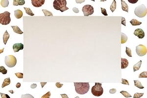 sea shells pattern with blank paper copy space background photo