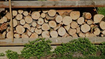 Pile of stacked firewood with repeating pattern in rustic outdoor setting photo