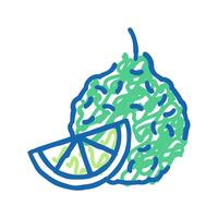 bergamot aromatherapy color icon isolated illustration vector
