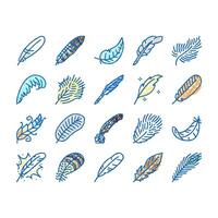 feather bird soft quil fluffy icons hand drawn vector