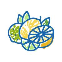 branch lemon and lime icon doodle illustration vector