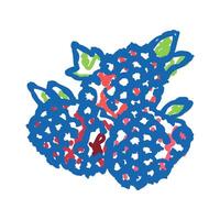 raspberry berry icon doodle illustration vector