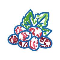 red grape wine icon doodle illustration vector
