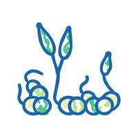 sprouts peas icon doodle illustration vector