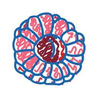 raspberry summer juicy icon doodle illustration vector