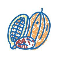 cocoa nut icon doodle illustration vector