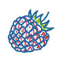 raspberry berry leaf icon doodle illustration vector
