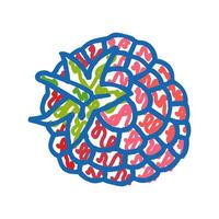 raspberry leaf berry icon doodle illustration vector