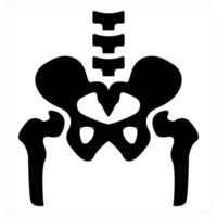 pelvic Bone and anatomy icon concept in black color vector