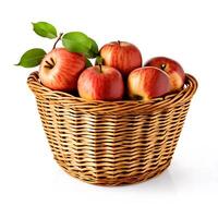 Handpicked Apples in a Rustic Container photo