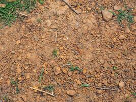 Brown soil and stone texture for environmental background. photo