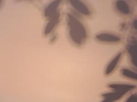 Leaf shadow on warm pastel background for abstract minimalist background. photo