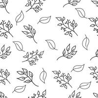 Seamless pattern of black botanical doodles on white background vector