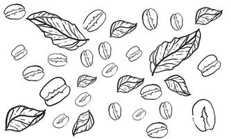 Hand Drawn Coffee Beans and Leaves, A Rustic Design Element for Beverage Creations and Branding Projects vector