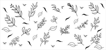 Elegant botanical pattern with minimalist leaf and branch outlines in monochrome vector