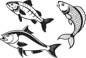 Marine Fish Designs for Prints and Crafts vector