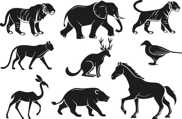Cartoon Animal Illustrations for Commercial Use