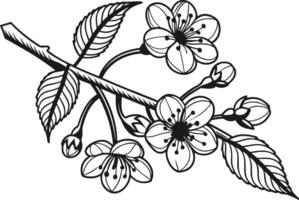 Hand Drawn Flowers in Colorful Style vector