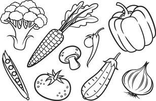 Fresh Vegetable Icon Set vector