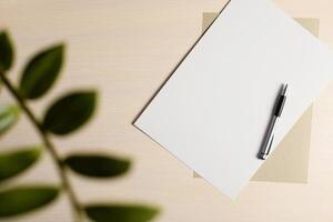Blank sheet of paper, cardboard and pen on the writing table. Flatlay, layout. Part of house plant in the frame. Copy space photo