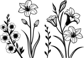 Artistic Flower Illustrations in Colorful Theme vector