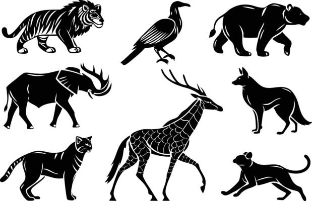 Colorful Animal Art Set for Kids Projects