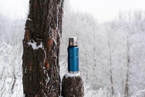 Thermos in the winter forest. Camping vacuum flask standing on stump next to a pine tree photo