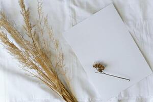 White sheet of watercolor paper and dry field plant lying on white fabric, flat lay. Creative mockup, copy space photo