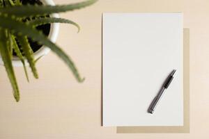 blanco sábana de papel, cartulina y un bolígrafo en el escritura mesa. plano, disposición. parte de áloe vera en el marco. Copiar espacio foto