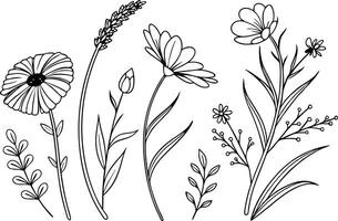 Minimal Wildflower Line Art Set for Designers vector