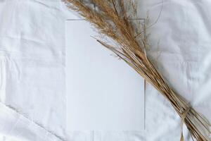 Bouquet dry field spikelets and white sheet of watercolor paper lying on white cloth. Flat lay, copy space. Layout with place for text. photo