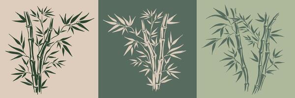 Bamboo tree, Sketch, Hand drawn style. vector