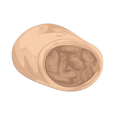 Illustration of Chicken Burrito