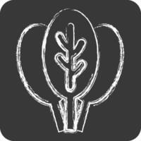 Icon Spinach. related to Fruits and Vegetables symbol. chalk Style. editable vector