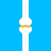 bone simple illustration isolated on blue background, bone for calcium concept, clip art bone vector