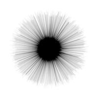 black lines circle shape isolated on white background, sea urchin graphic lines shape black color, fireworks burst out exploration shape, black and white lines explosion hypnotic concept vector