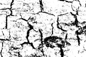 Black and White Grunge Rough Bark Textures Abstract Background, Rough bark and Dust Overlay Distress Grain Grunge, Dirty splattered texture for a wall vector
