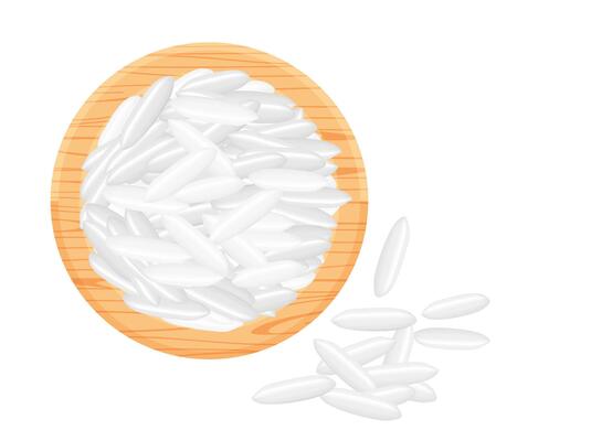 rice seed raw on circle wood plate, isolated on white, grains rice and paddy seed on wooden tray, pile rice grains, illustration rice barley white seed macro concept