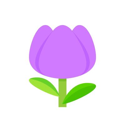 tulip flower purple simple isolated on white background, tulips purple cartoon for clip art, illustration tulip flower