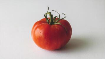 A single tomato on a white background photo