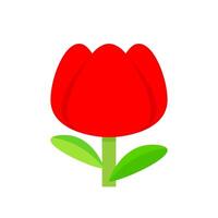 tulip flower red simple isolated on white background, tulips red cartoon for clip art, illustration tulip flower vector