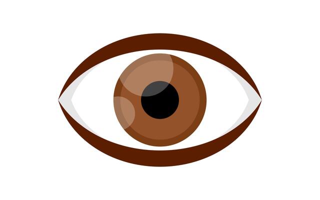 eye brown icon isolated on white, illustration eyeball brown for health care concept, brown eye for graphic logo, eye redness for eyesight, see, vision, look, view and optical symbol
